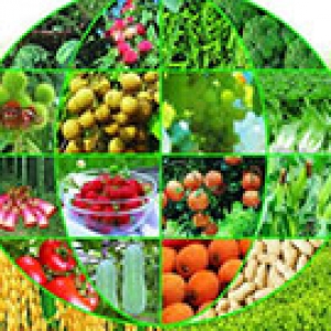  農(nóng)業(yè)檢測(cè)